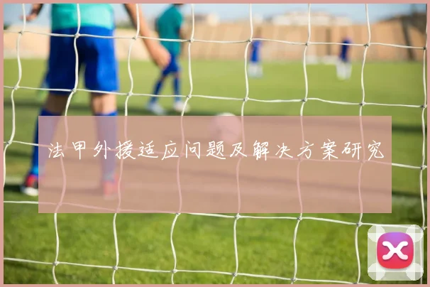 法甲外援适应问题及解决方案研究