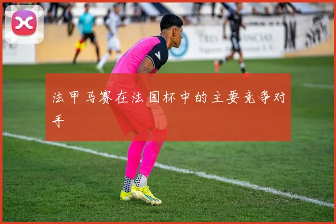 法甲马赛在法国杯中的主要竞争对手