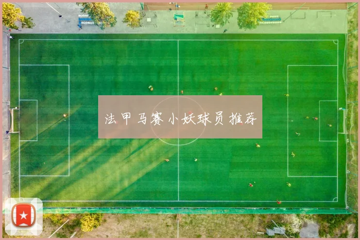 法甲马赛小妖球员推荐