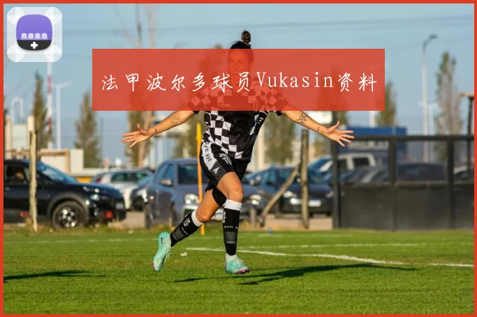 法甲波尔多球员Vukasin资料